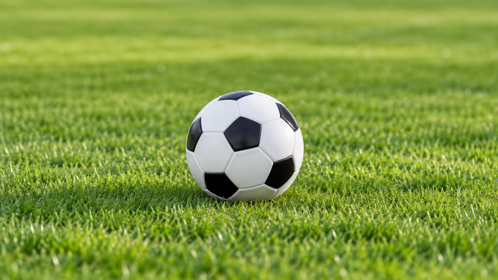 中国与蒙古篮球对决全程回顾精彩瞬间分析与解读